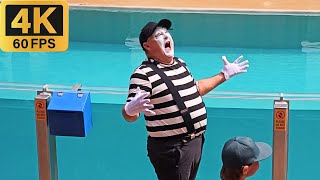 The mime Tom was so hilarious in this show!  #tomthemime #seaworldmime #seaworldorlando