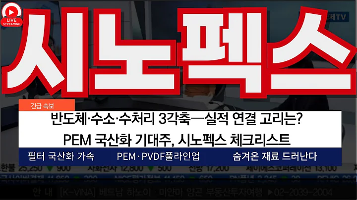 시노펙스, 반도체·수소·수처리 3각축—실적 연결 고리는? ENVEX→ENTECH 잇단 전시… 실수주로 이어질까 PEM 국산화 기대주, 시노펙스 체크리스트