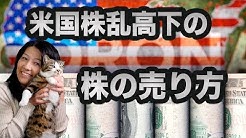 高校生でも分かる米国株 Youtube