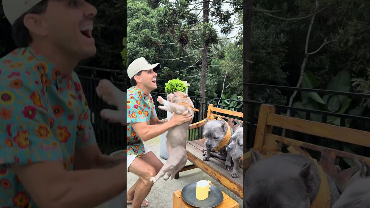 Picolé de Abacaxi com Mirtilo 🐾 Formas de Patinhos 🐥 Elas Amam 🐾