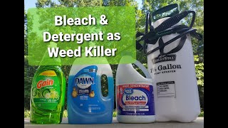 Bleach & Detergent as a Weed Killer | How Effective for How Long? | KimTownselYouTube