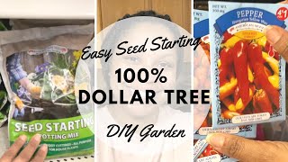 100% Dollar Tree Vegetable Seed Starting | Budget Friendly | Gardening For Beginners