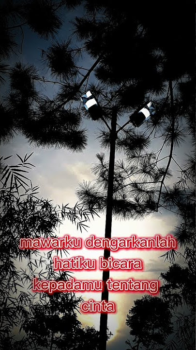 cover lagu fangkop#shorts #mawarku@melowberkelas
