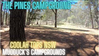 The Pines Campground Coolah Tops NSW  4K
