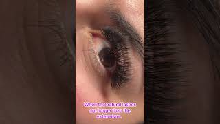 #lashes #lashartist #lashtrainer #lashart #lashgoals #hybridlashes #fyp #lashtech