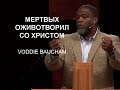 Мертвых оживотворил со Христом