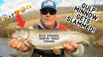 TROPHY Trout FISHING video! I use GULP MINNOWS and they get DESTROYED by some MONSTER Rainbow TROUT!