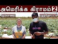 அமெரிக்க கிராமம் 2 | பழத்தோட்டம் | விவசாயிகள் சந்திப்பு | American Village | Madhavan