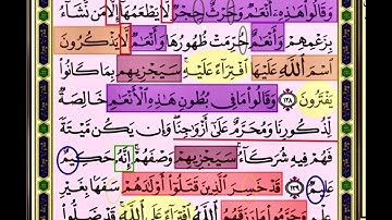 النصف الاول من صفحة 146 من سورة الانعام الايات من 138:140 مكررة بصوت الشيخ محمود الحصري