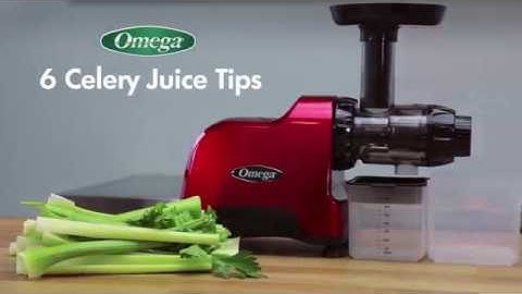6 Celery Juice Tips