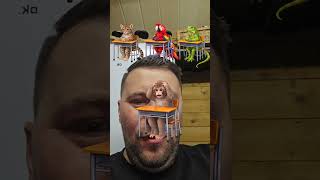 Which Animal Stole My Monkey? Filter Challenge  #maroi #funny   #memes