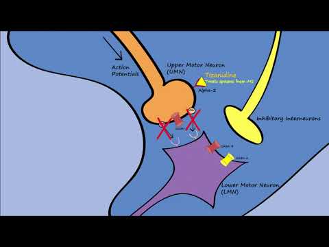 Muscle Relaxers - Mechanisms, Indications, Side Effects