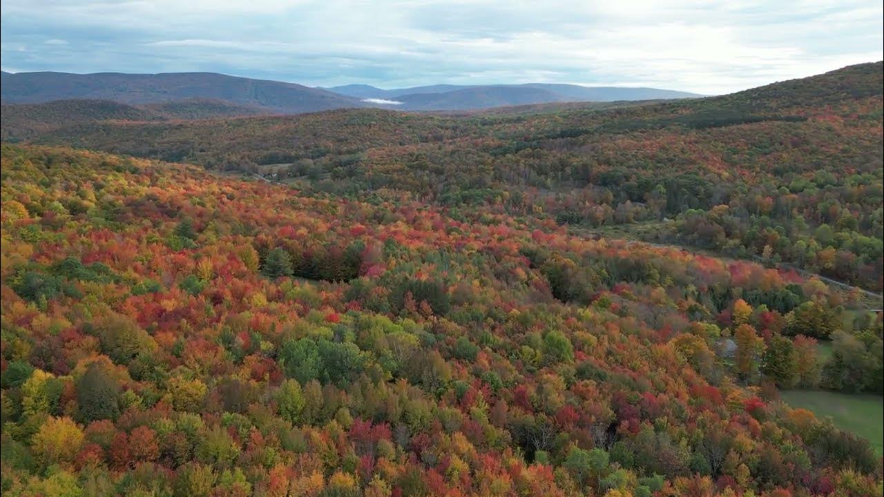 Catskills Fall Foliage YouTube