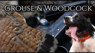 Grouse & Woodcock Hunting Northern WI: English Setter by DogBoneHunter 10,047 views 2 months ago 19 minutes