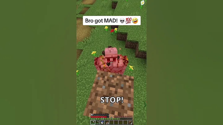 Funny Minecraft Villager #minecraft  #funny  #skit  #villager  #jokes  #memes  #shorts