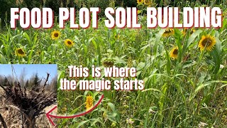 Building Soil In Food Plots