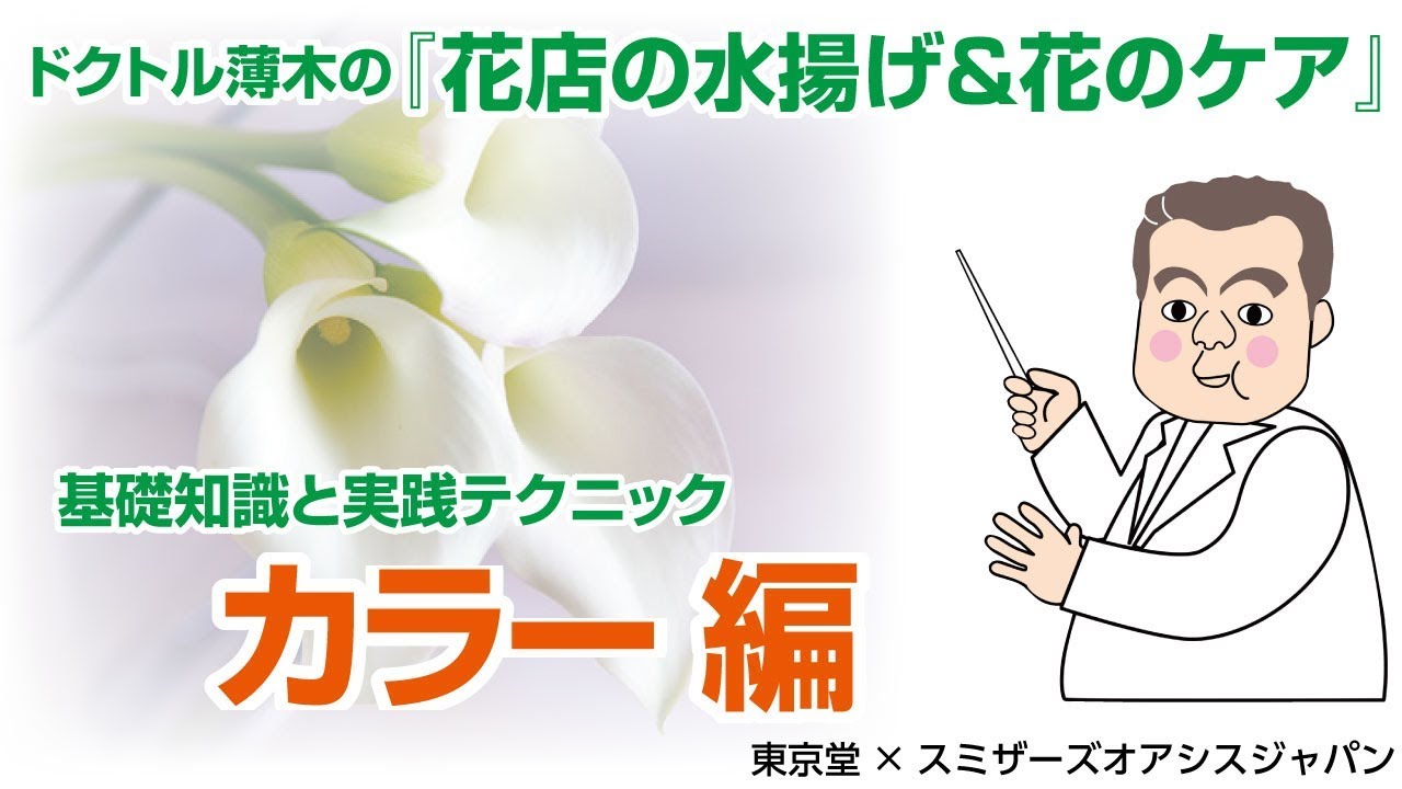 プロが教える 生花の水揚げと花のケア 花もちのコツ カラー編 Youtube