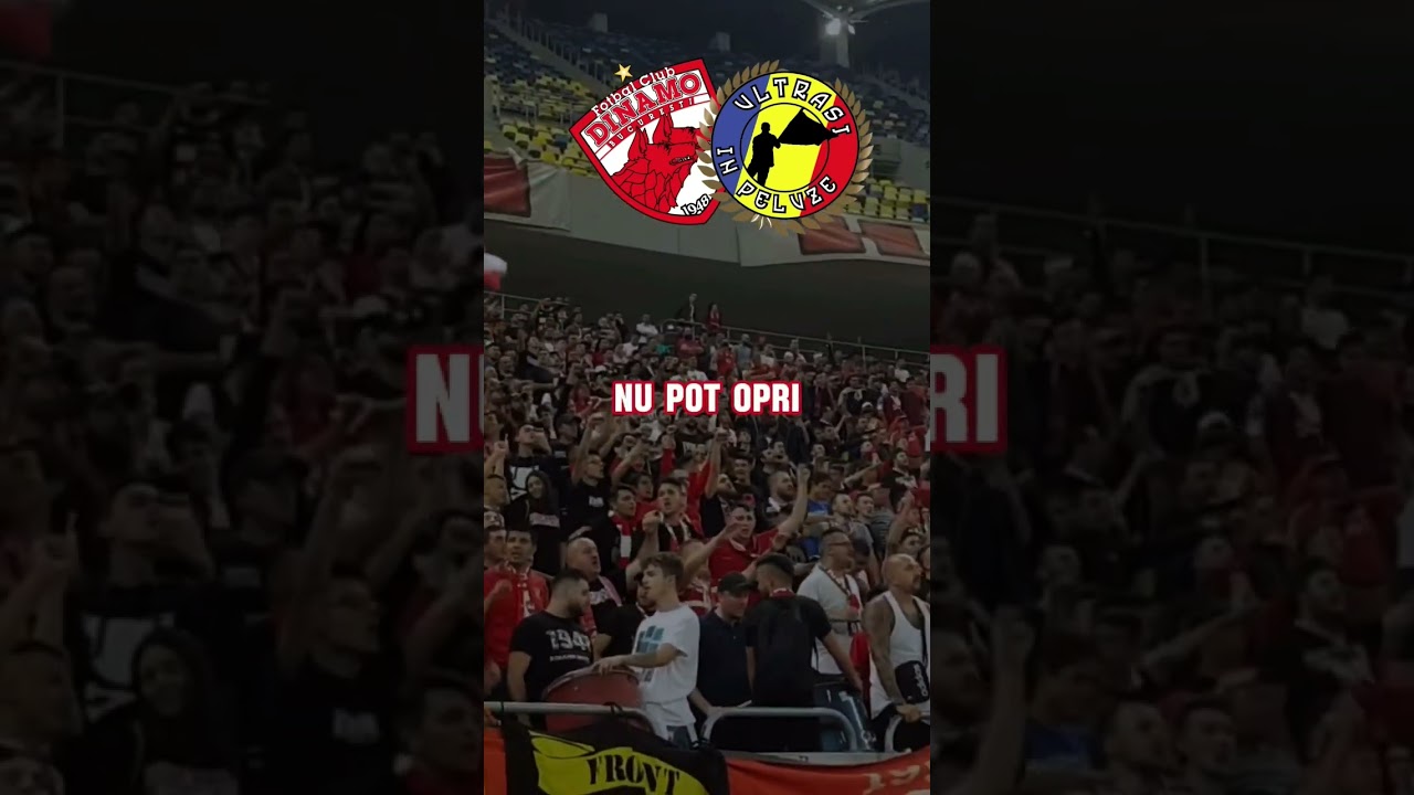 ⚪️ Peluza Cătălin Hîldan - Mania mea pentru câinii roșii + versuri