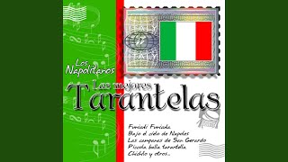 Tarantela Para Bailar