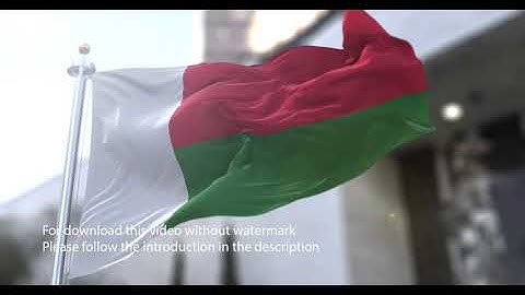 Madagascar flag with 3d effect blowing in the wind 3D Flag V2 long