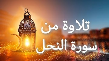 تلاوة من سورة النحل / القارئ#عبدالرحمن_مسعد🤍