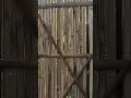 PEMASANGAN PAGAR BAMBU APUS RAPAT 2X2M #bambu #bosbambu #construction #RENG #pagarbambu