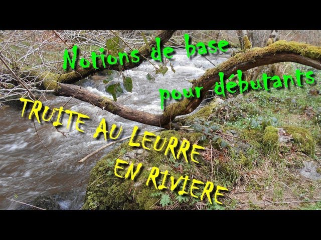 Matériel de pêche pour la truite, Choisir son matériel pour pêcher la  truite n'est pas toujours chose facile surtout quand on débute. Julien,  David et Jérôme vous parlent de leurs