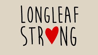Back to work Longleaf LIVE
