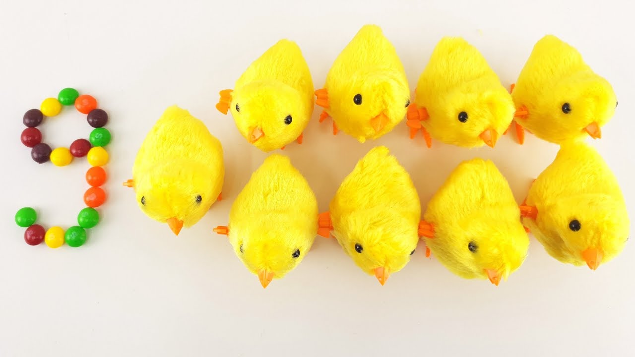 นับเลข 1-10 | ฝึกนับเลขกับลูกอม และ กุ๊กไก่น่ารัก เด็กๆดูเพลินเลยค่ะ