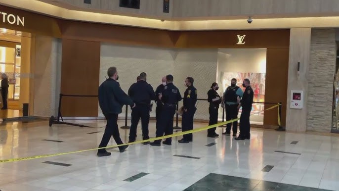 Every showroom item stolen from Louis Vuitton store at Kenwood Towne Center  – WHIO TV 7 and WHIO Radio