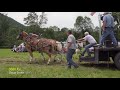 Candor,NY 2019 Lightweight Horse Pull