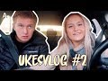 fixer, nye ting, avocado toast og noe vanskelig :: UKESVLOGG 2 !!