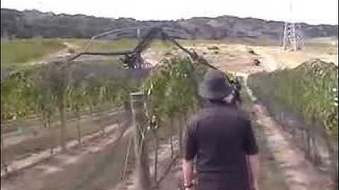 Coverplas Multi Row Bird Netting Application in Vineyards