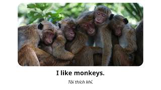 Fun English Sentences with I Like Animals