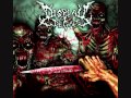 Display of Decay - Praise The Gore