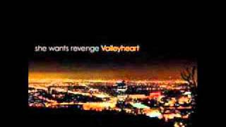 Video thumbnail of "She Wants Revenge - Reasons"