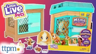 Little Live Pets Mama Surprise Guinea Pigs Rainbow Edition (target  Exclusive) : Target