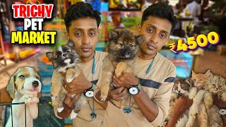 Ponmalai Pets Market  | Cheapest வாங்க/விற்க