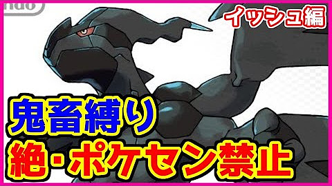 Kトのポケモン廃人ロード Youtube