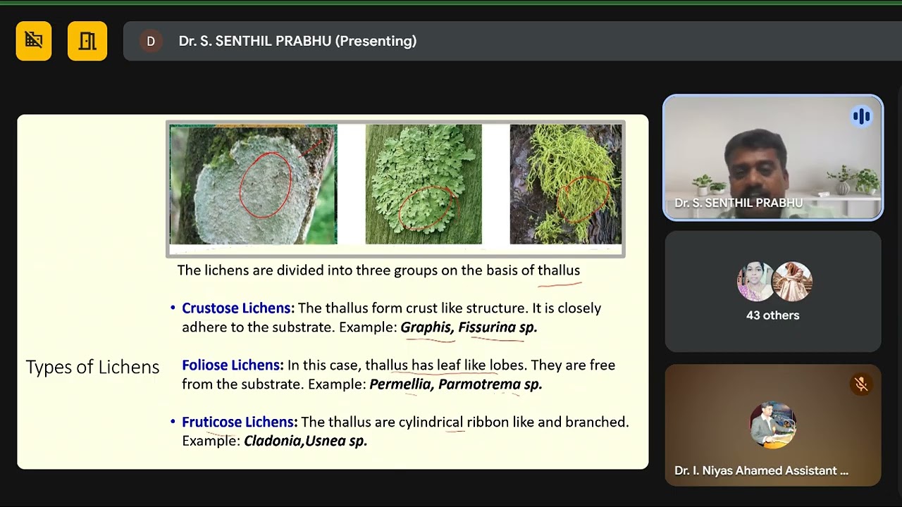 Lichens as Bio-factories: The Frontier of Secondary Metabolites