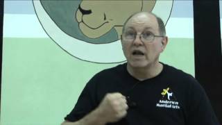 Creating American Freestyle Karate - interview with Professor Dan Anderson