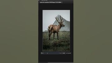 Add Water to Your Photos with Photoshop AI Generative Fill