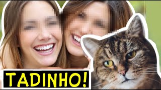 Duas cadelas VS um gatinho preso no portão