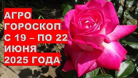 ЛУЧШИЕ дни для идеальной посадки корнеплодных овощей с 19 по 22 июня 2025!