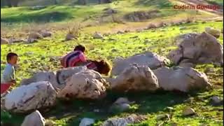 Kaval çoban yayla koyun 