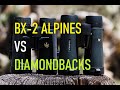 Leupold BX-2 Alpines VS Vortex Diamondback HD Binoculars 10 X 42