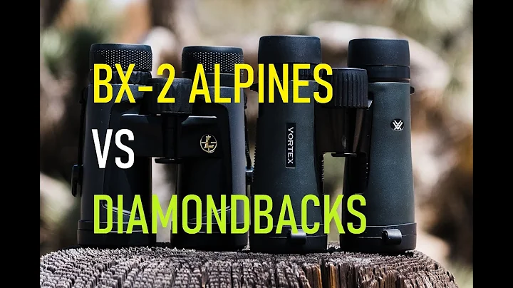 Leupold BX-2 Alpines VS Vortex Diamondback HD Binoculars 10 X 42