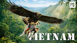 WILD VIETNAM | The Most Dangerous Animals Hidden in Tropical Forests | Full Documentary