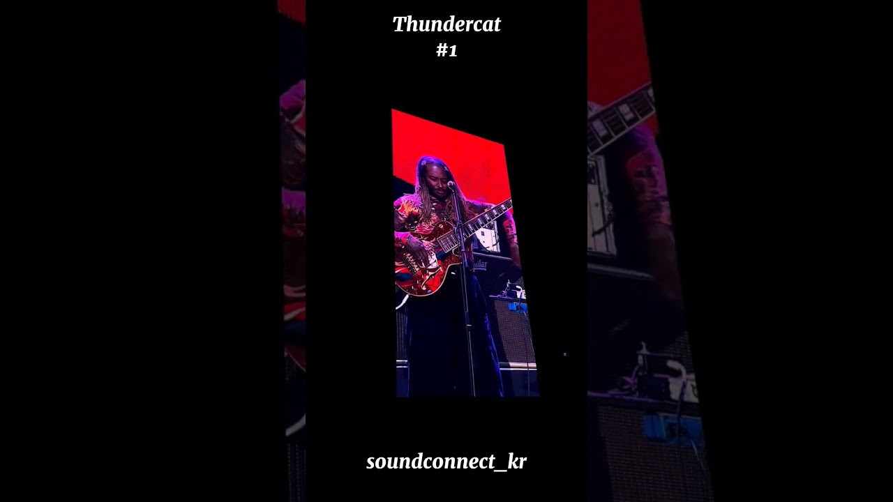 Thundercat #1 | 250531 Seoul Jazz Festival | 