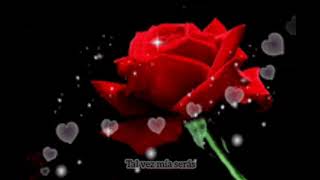 LOS HERMANOS CARRIÓN & Rosas Rojas & Qué inhumano/ Letra/Español ♥️🌷